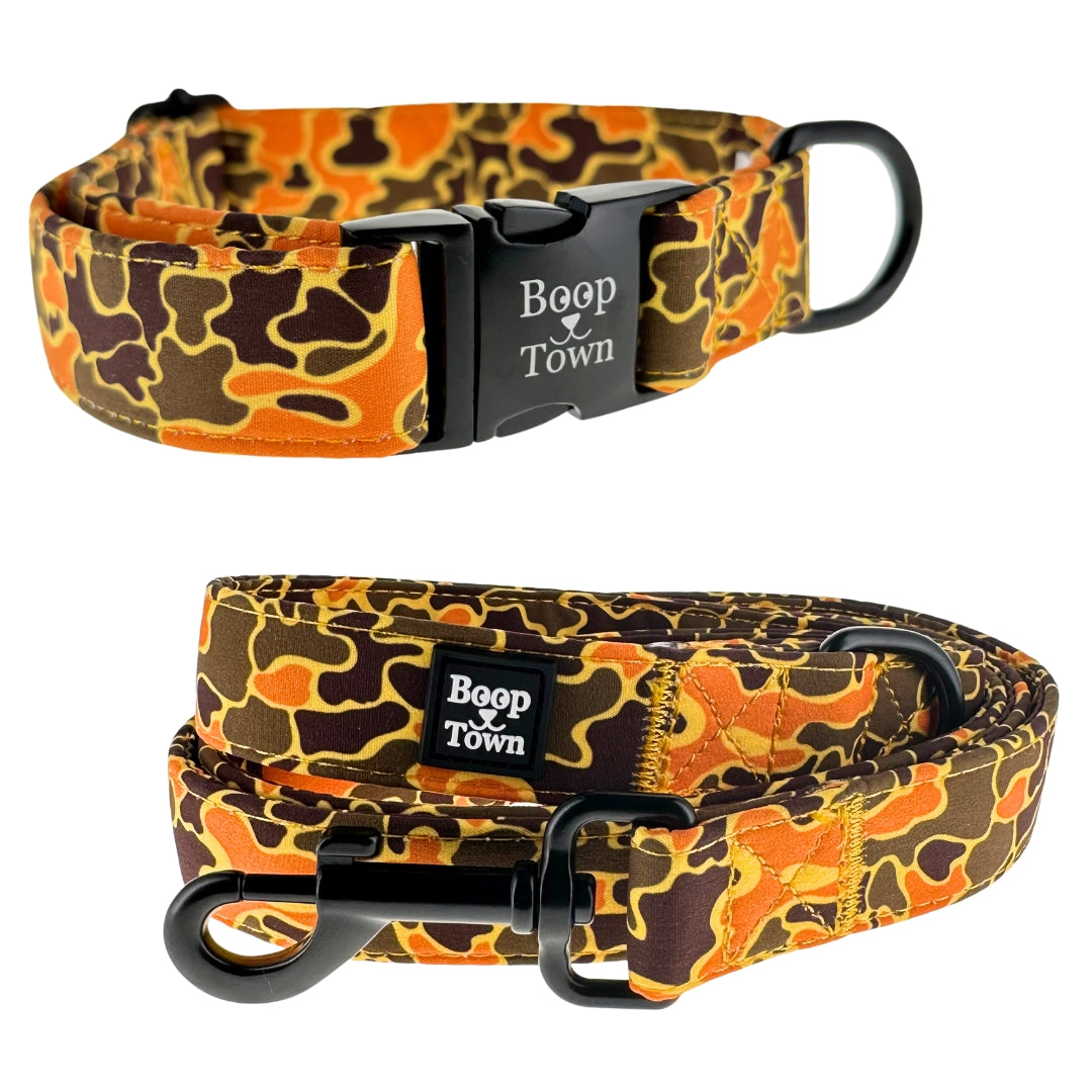 Dog Collar and Leash Set