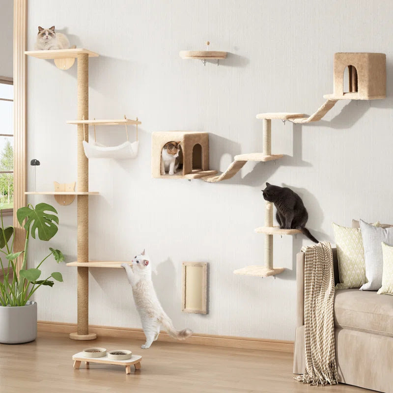 Cat's Climbing Tower