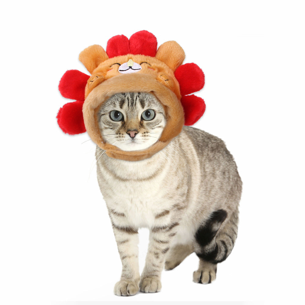 Funny Pet Costume