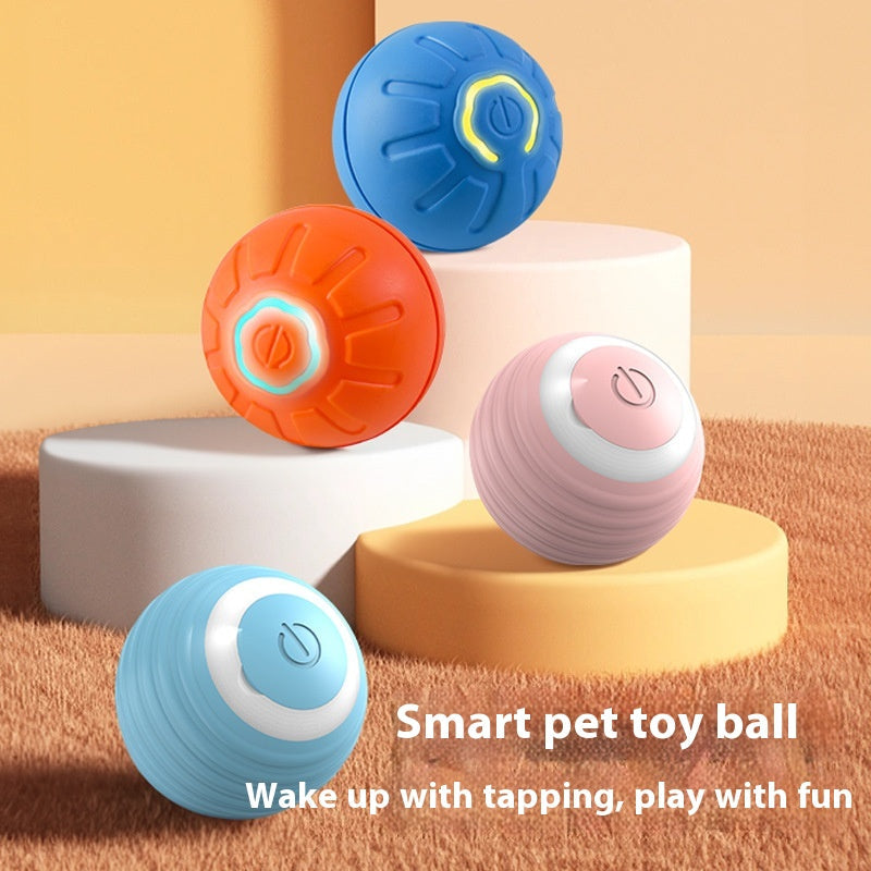 Dog Toy Ball
