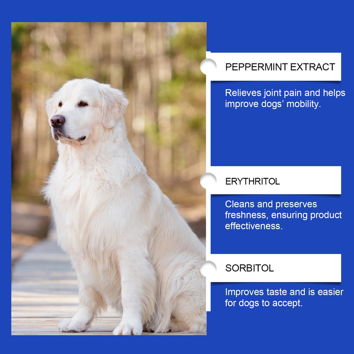 Pet Dog Joint Supplements