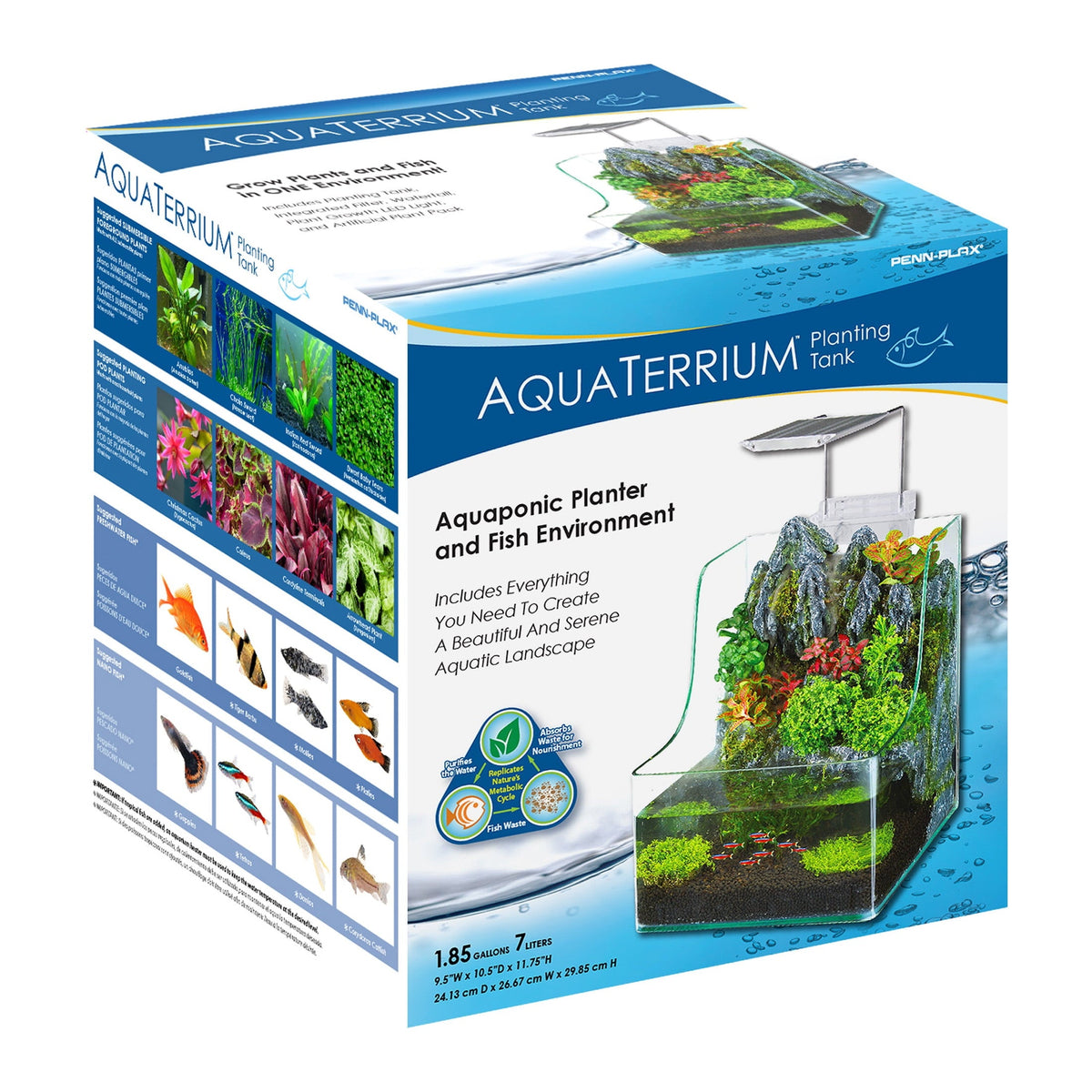 Glass Aquarium