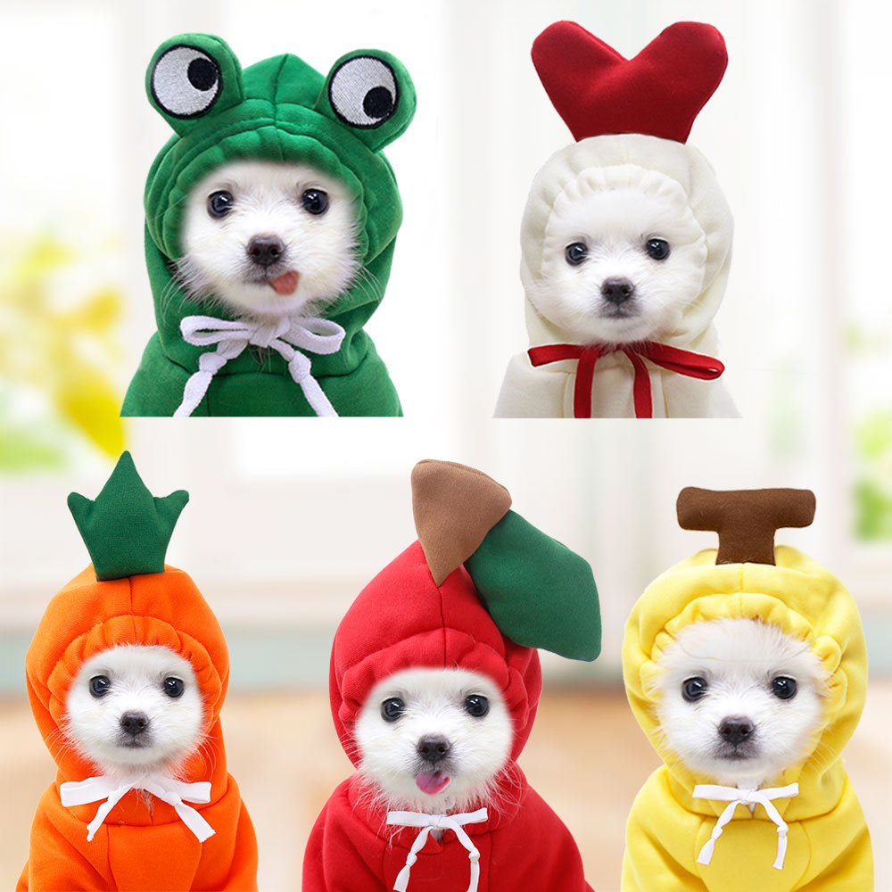 Dog Clothes For Small Dogs