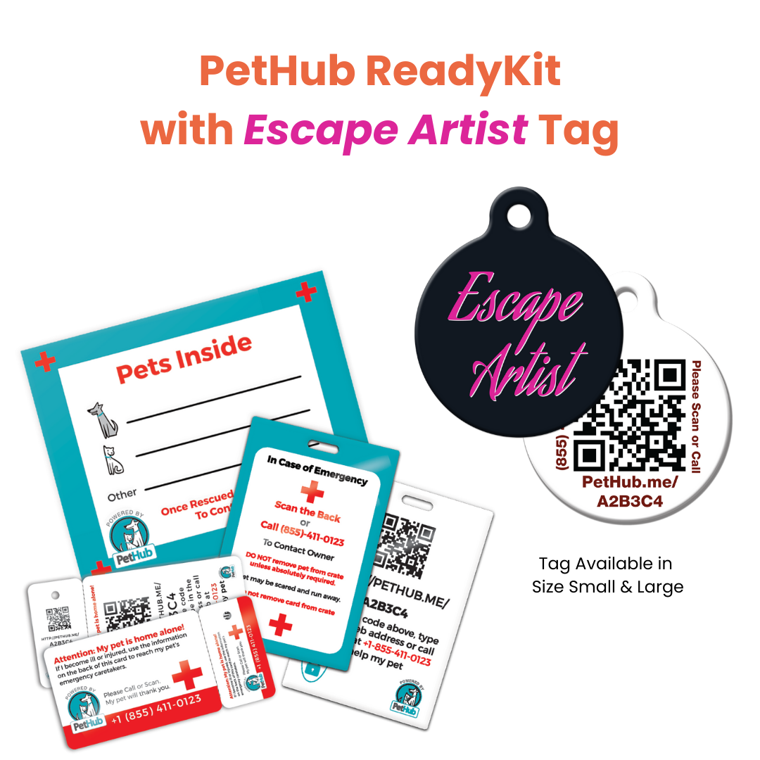 ID Comprehensive Ready Kit