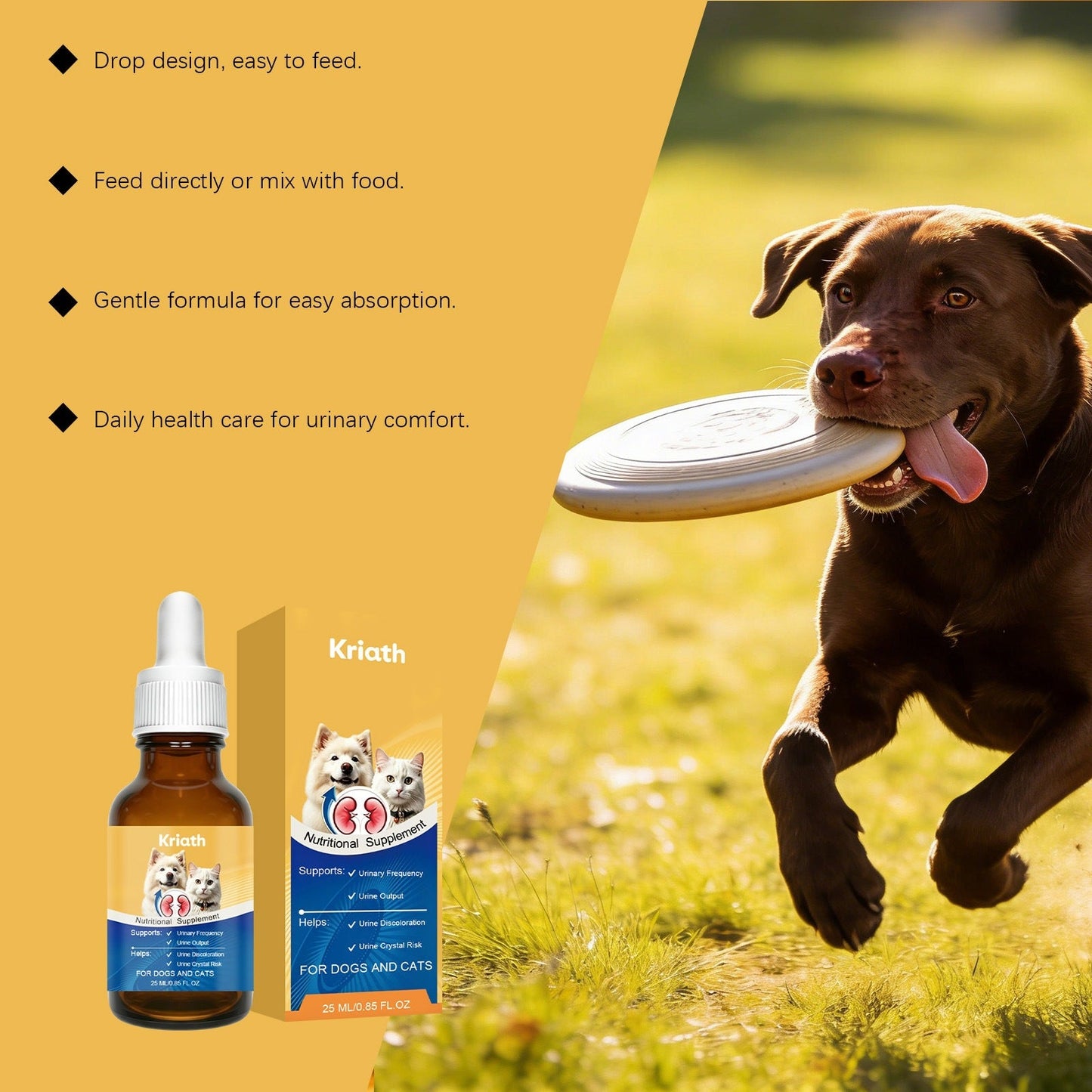 Dog And Cat Nutritional Supplements