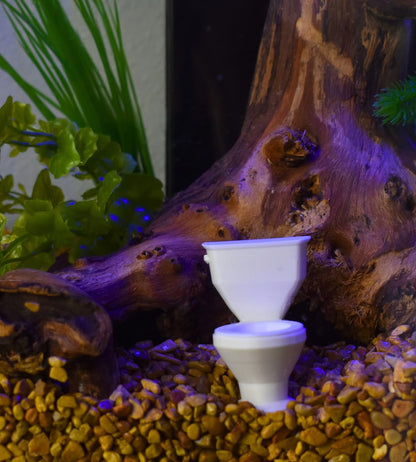 Aquarium Decor