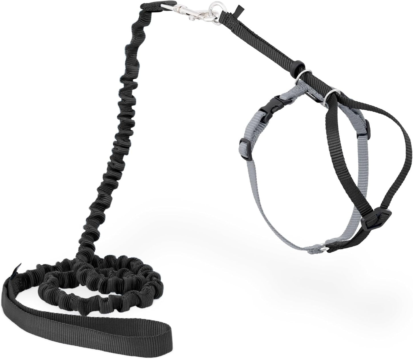 Cat Harness & Bungee Leash