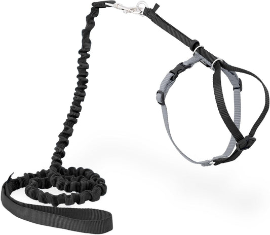 Cat Harness & Bungee Leash