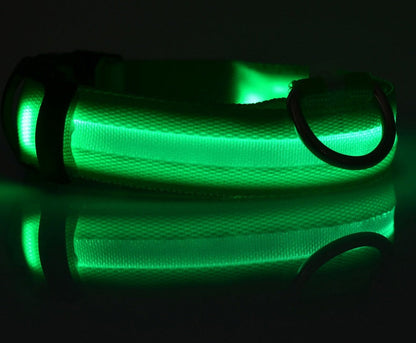 Glow in Dark Dog/Cat Leash