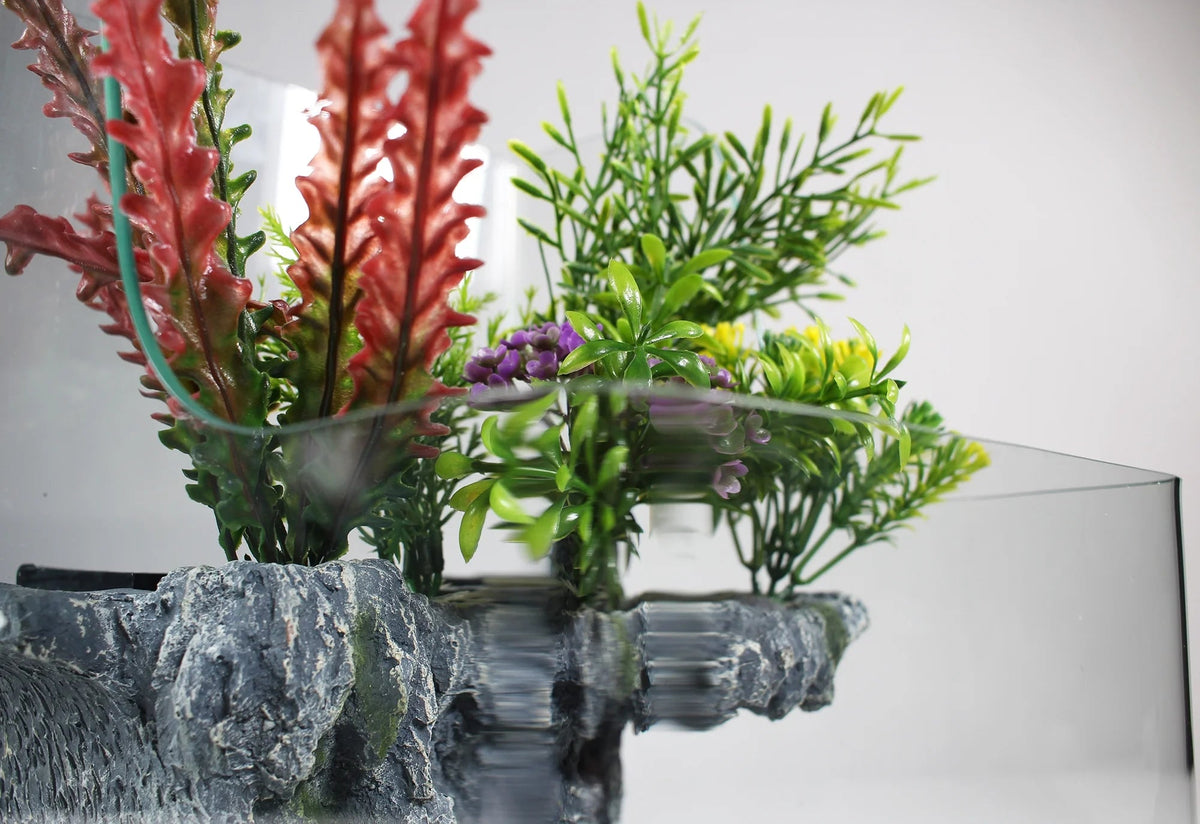 Glass Aquarium