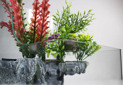 Glass Aquarium