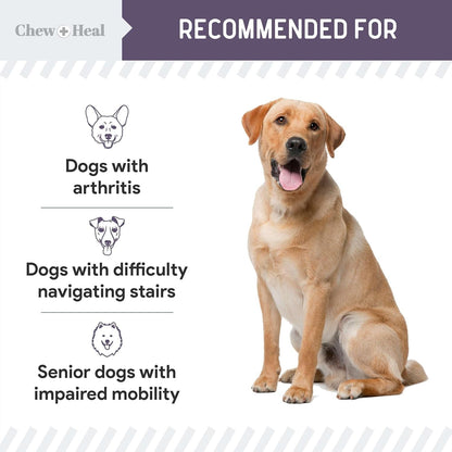 Senior Dog Joint Supplement