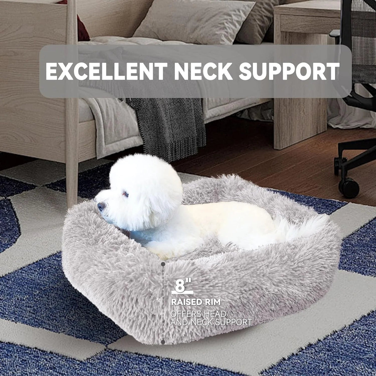 Cat Bed Indoor