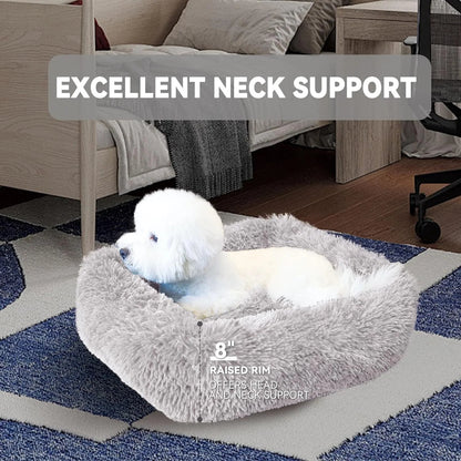 Cat Bed Indoor
