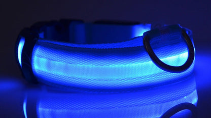 Glow in Dark Dog/Cat Leash