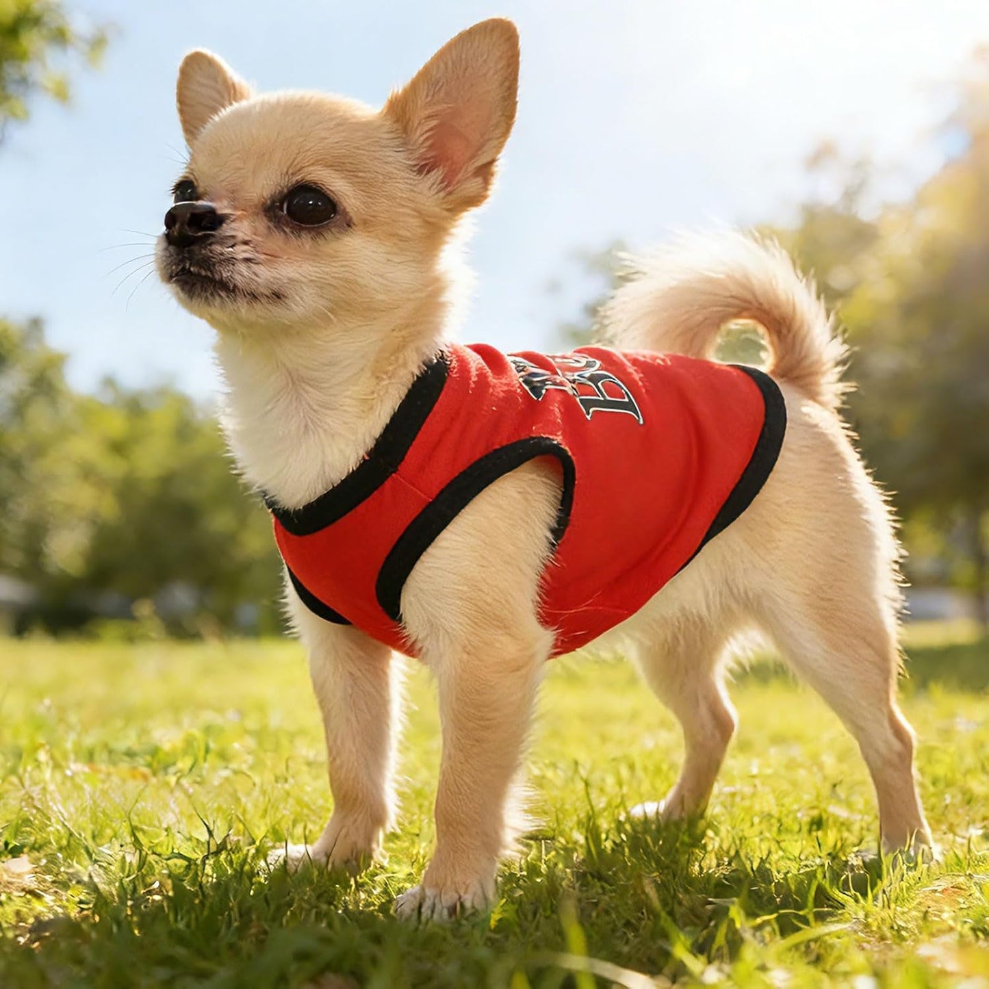 Small Dog Shirts