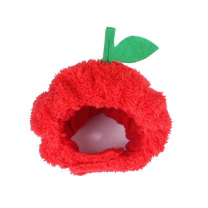Funny Pet Costume