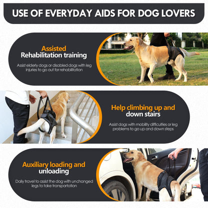Adjustable Dog Lift Harness