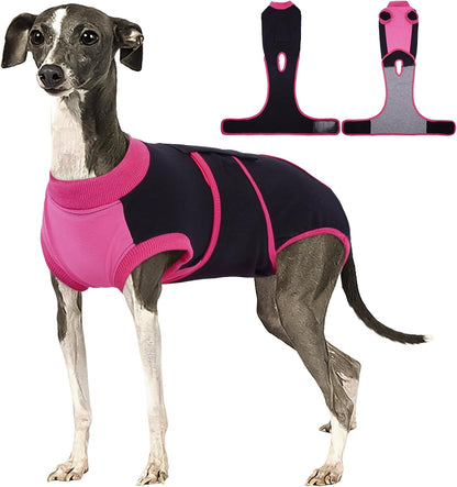 Female Dog Recovery Suit — Post-Spay & Surgery Coverage, Soft & Breathable (XS–2XL)