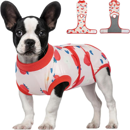 Female Dog Recovery Suit — Post-Spay & Surgery Coverage, Soft & Breathable (XS–2XL)
