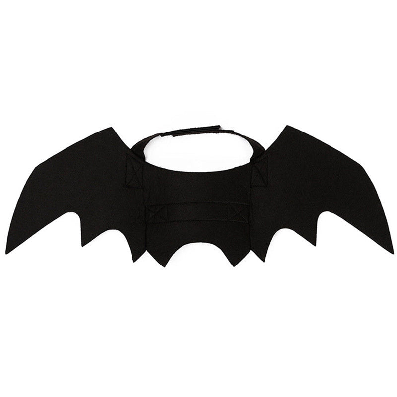 Bat Cat Wings