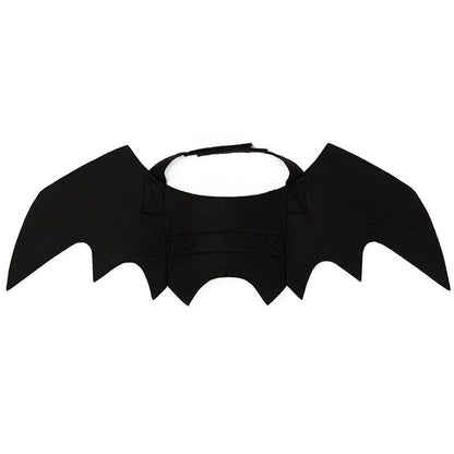 Bat Cat Wings