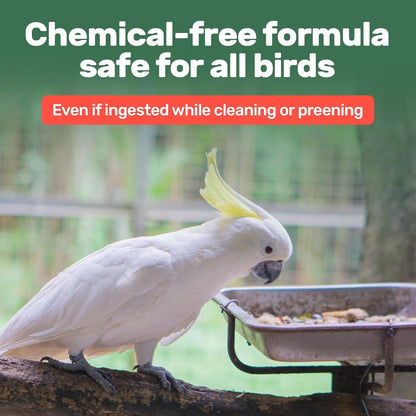 Aloe Vera Bird Spray