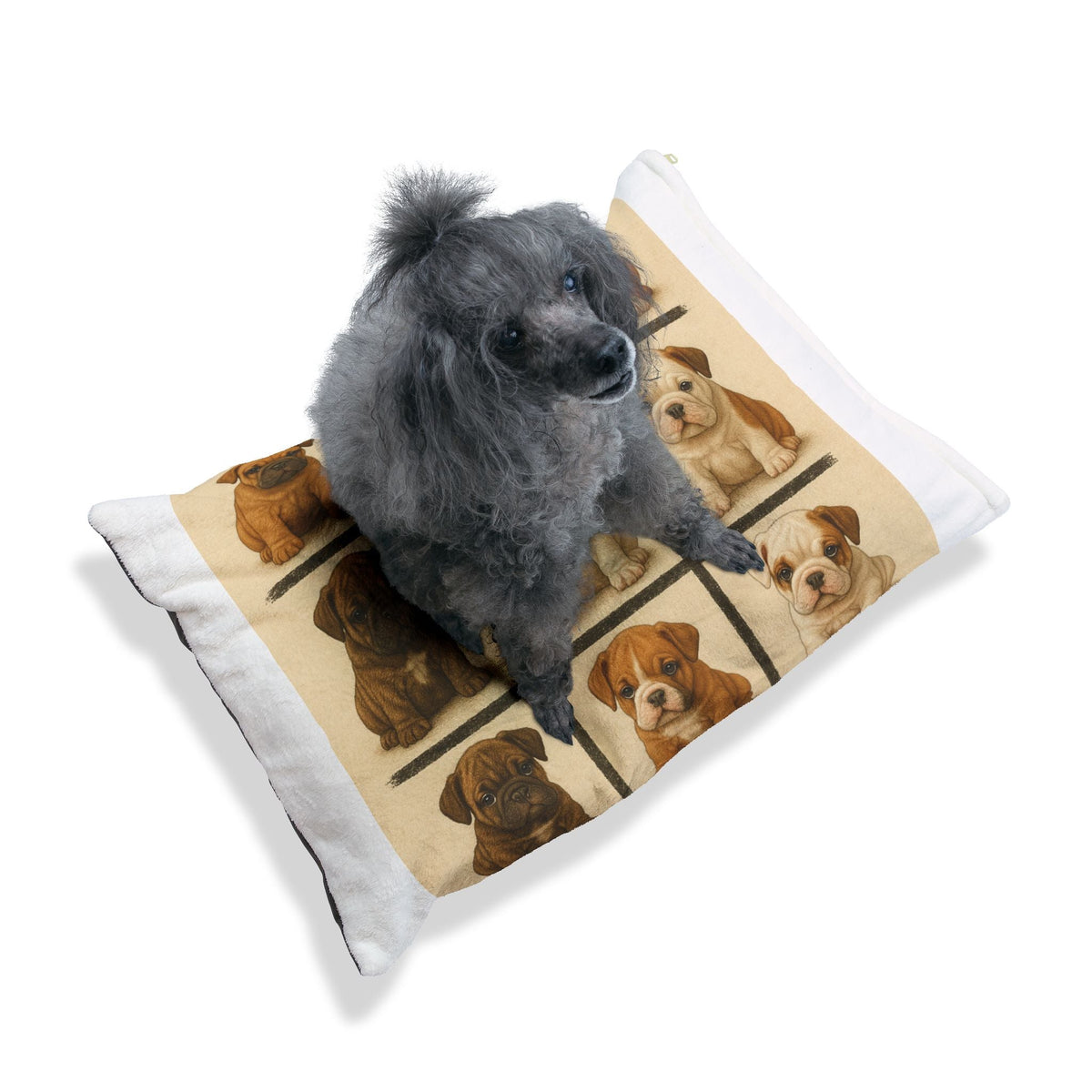Plush Dog Bed