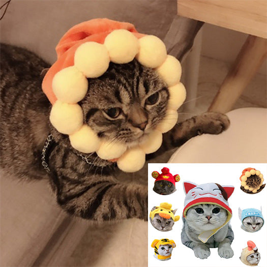 Funny Pet Costume