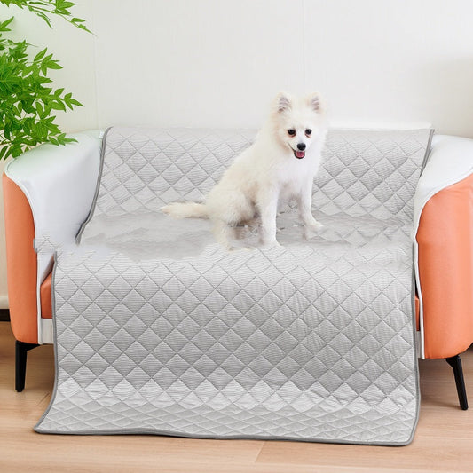 Summer Dog Mat