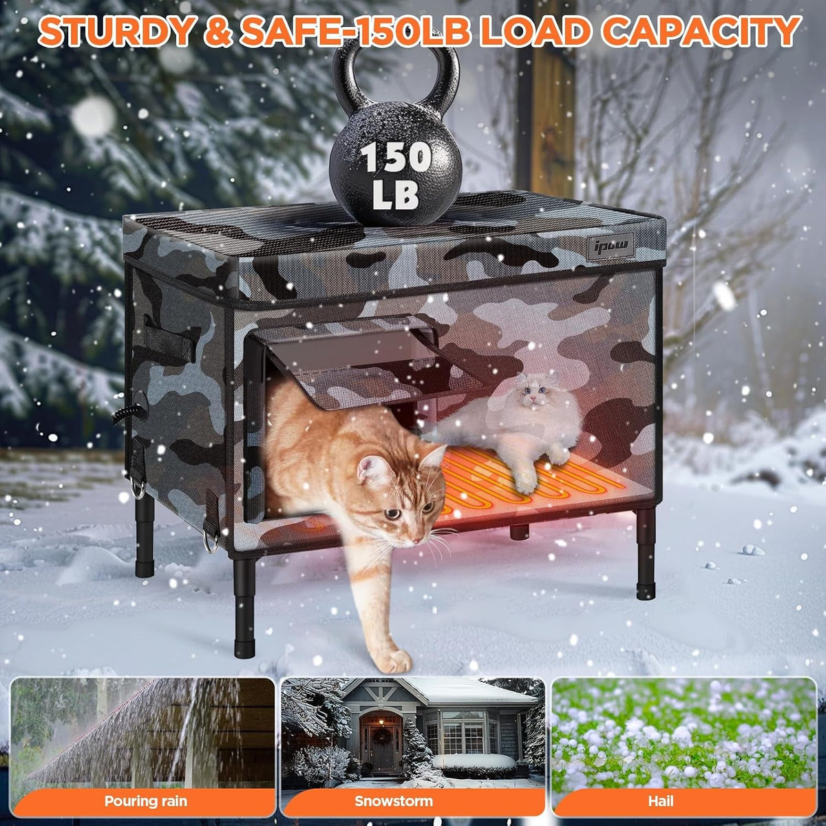 Outdoor Cat House