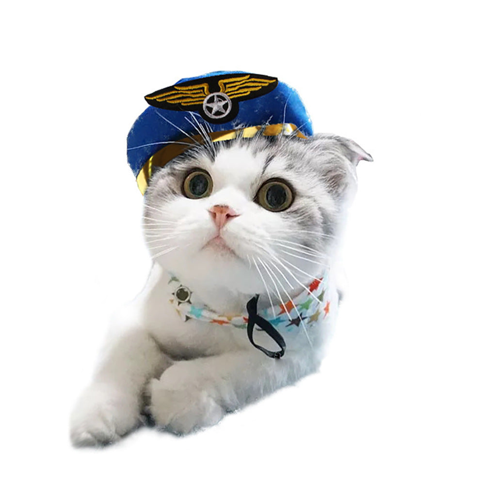 Funny Pet Costume