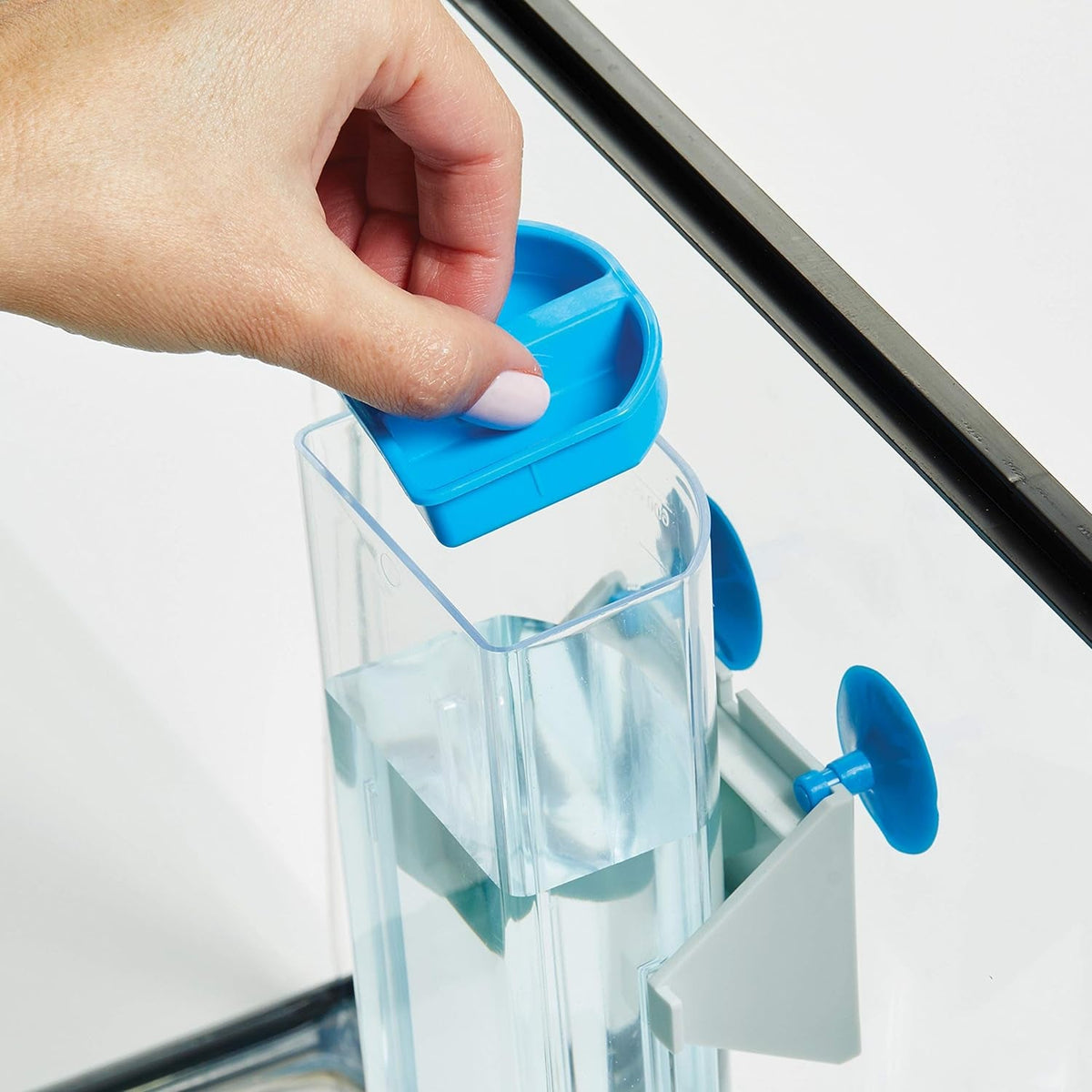 Animal Water Bottle