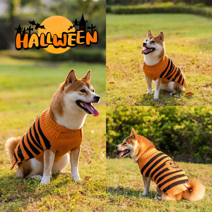 Halloween Pet Costume