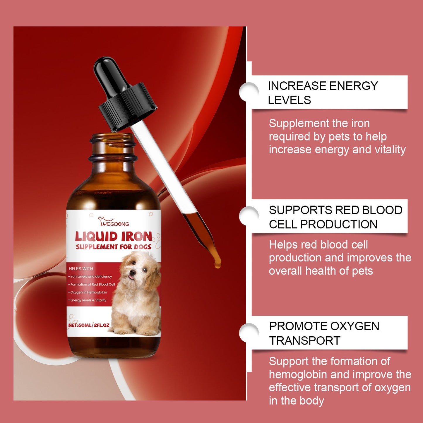 Care For Pet Dogs