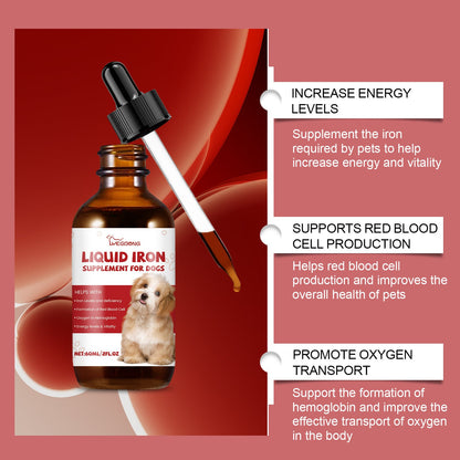 Care For Pet Dogs