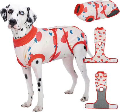 Female Dog Recovery Suit — Post-Spay & Surgery Coverage, Soft & Breathable (XS–2XL)