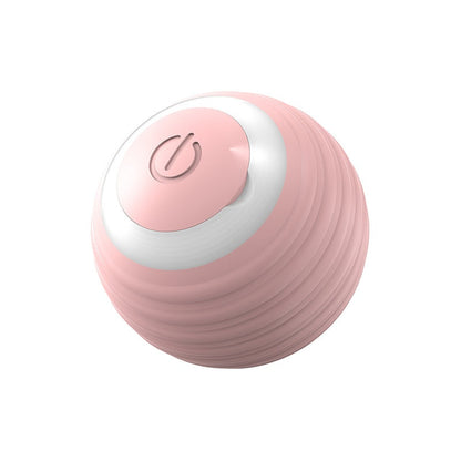 Dog Toy Ball