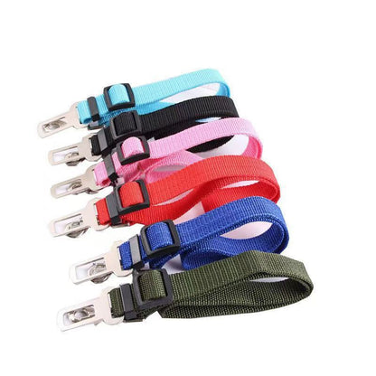 Seat Belt Harness