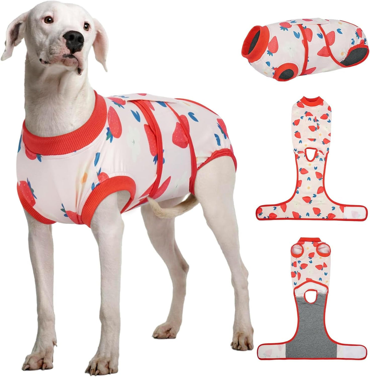 Female Dog Recovery Suit — Post-Spay & Surgery Coverage, Soft & Breathable (XS–2XL)