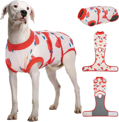 Female Dog Recovery Suit — Post-Spay & Surgery Coverage, Soft & Breathable (XS–2XL)