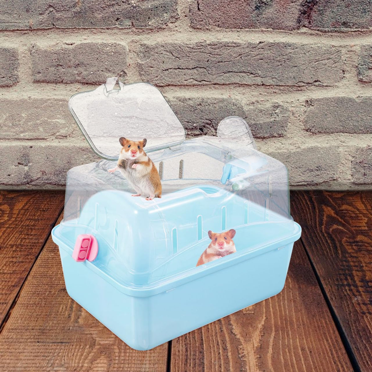 Hamster Carrier Cage