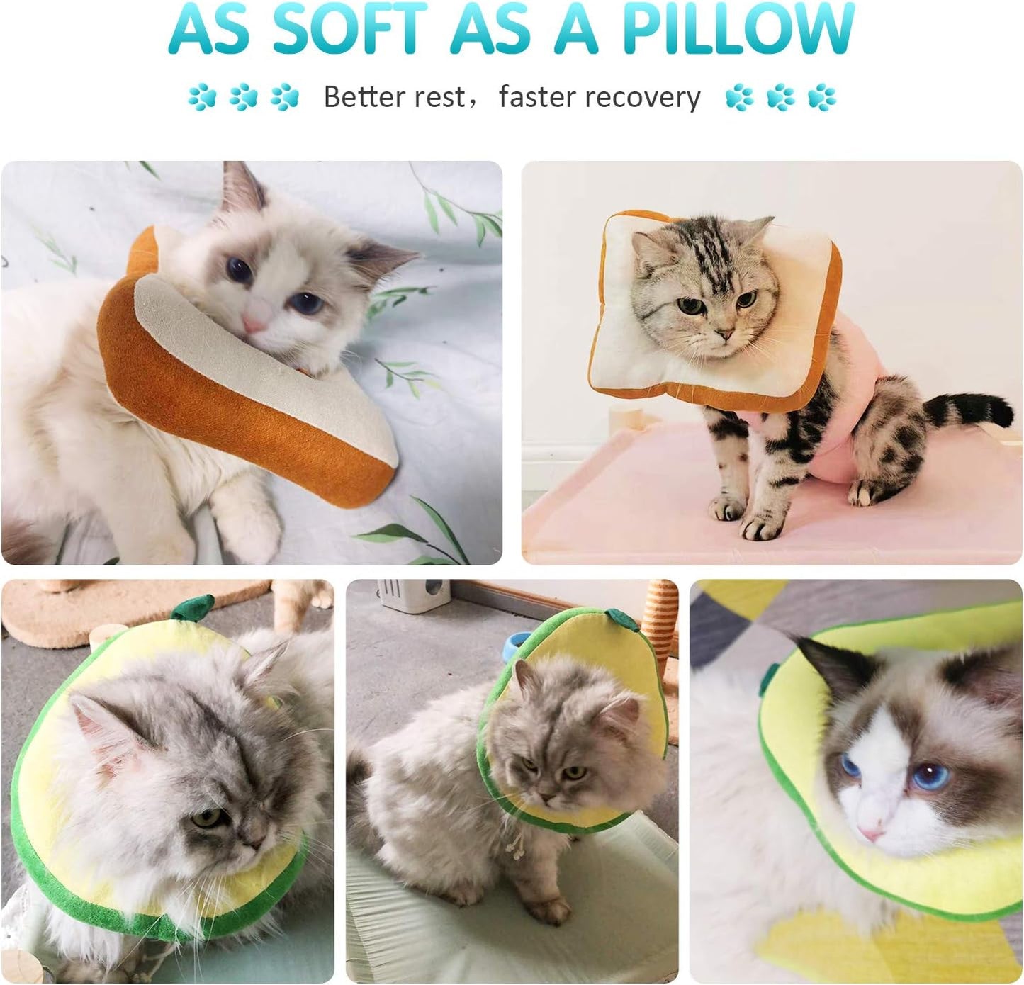 Cat Recovery Collar Cone