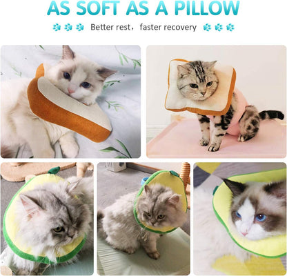 Cat Recovery Collar Cone