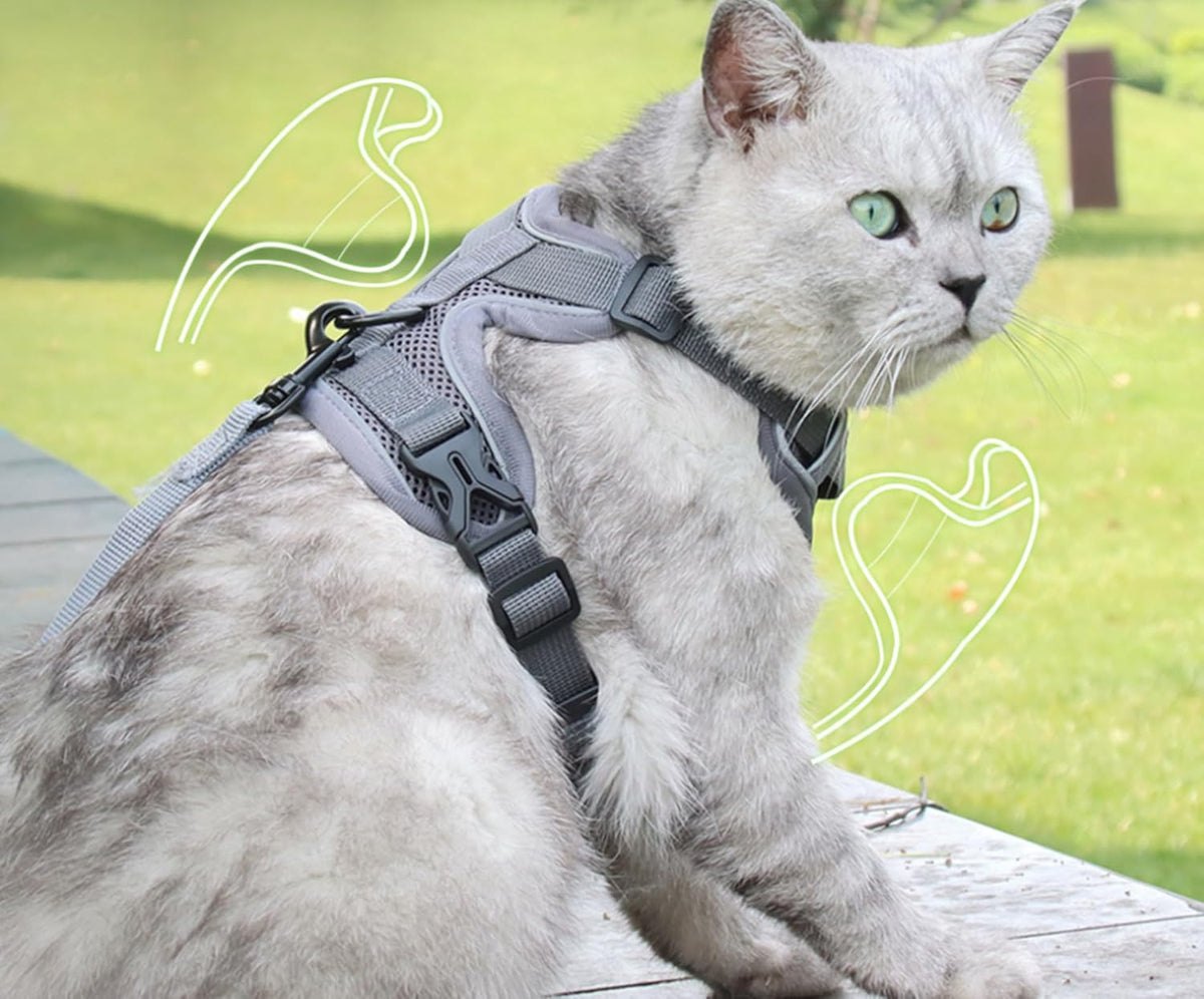 Pet Harness and Leash Set