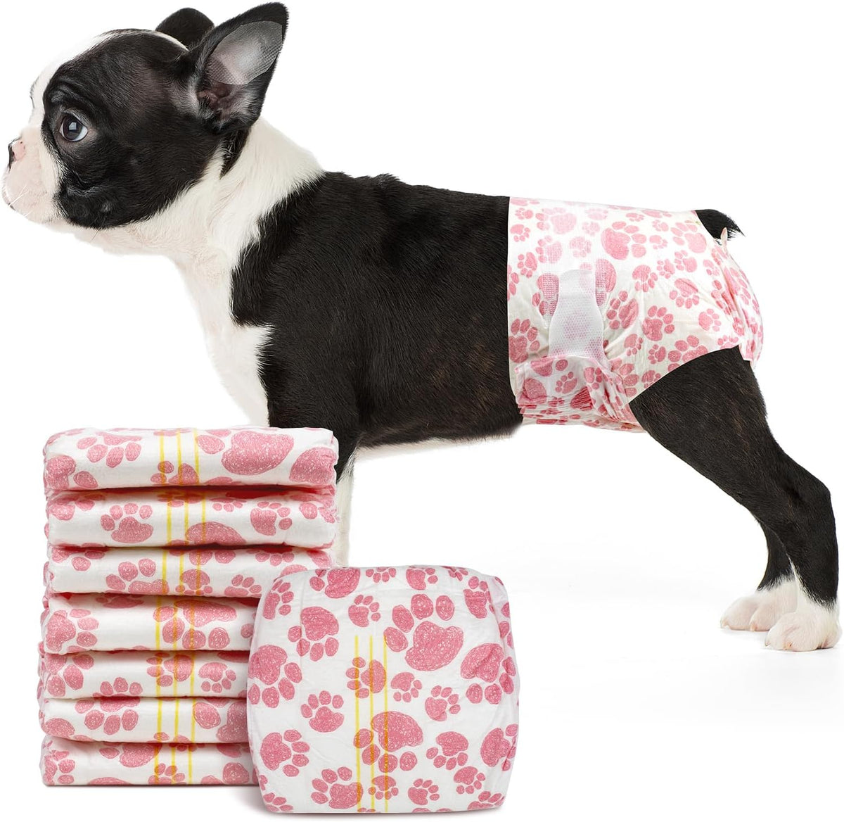 Female Dog Diapers