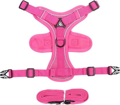 Pet Harness and Leash Set