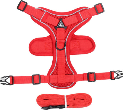 Pet Harness and Leash Set