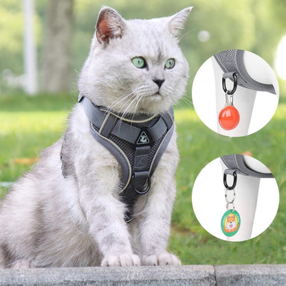 Pet Harness and Leash Set