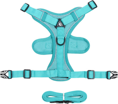 Pet Harness and Leash Set